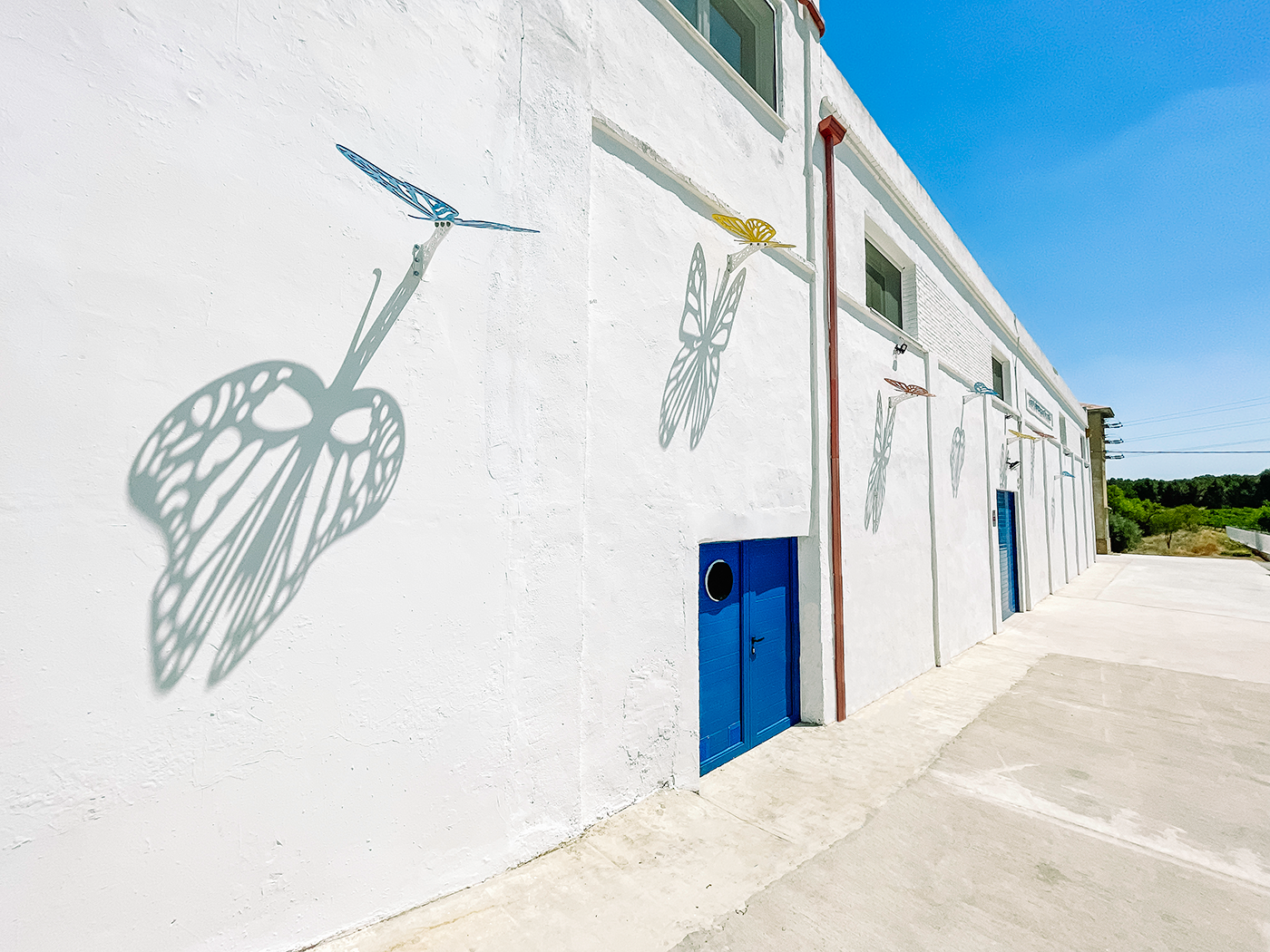 Sun-Sensing Butterflies en Valencia