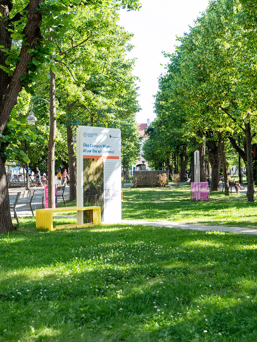 Intersections en la Universidad de Viena